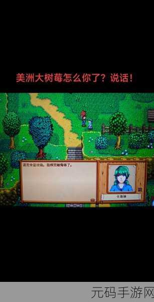 星露谷物语，解锁宝石能量，打造专属时尚新篇章