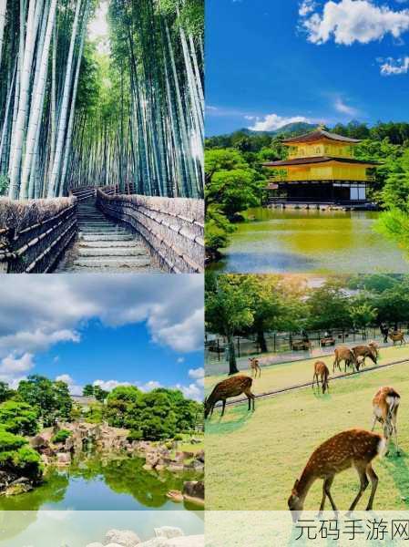 328日本二大但人文艺术：1. 日本文化的多元交融：328日本二大的艺术之旅