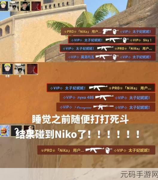 俄罗斯毛子CSGO:1. "俄罗斯毛子CSGO:战斗的不屈精神与策略挑战