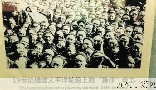 公园里的老年镖客视频大全：1. 老年镖客：岁月无敌的传奇故事