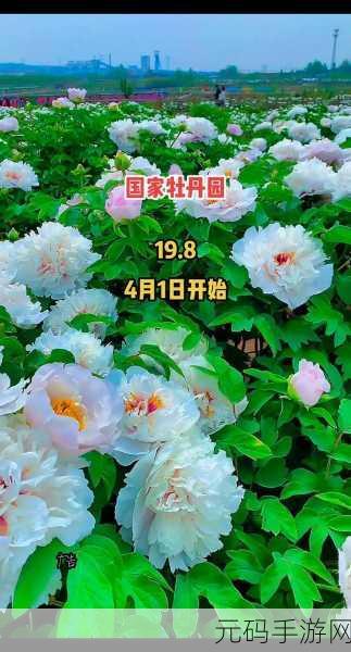 国色天香还是天香国色:1. 国色天香,绽放华夏文化之美
