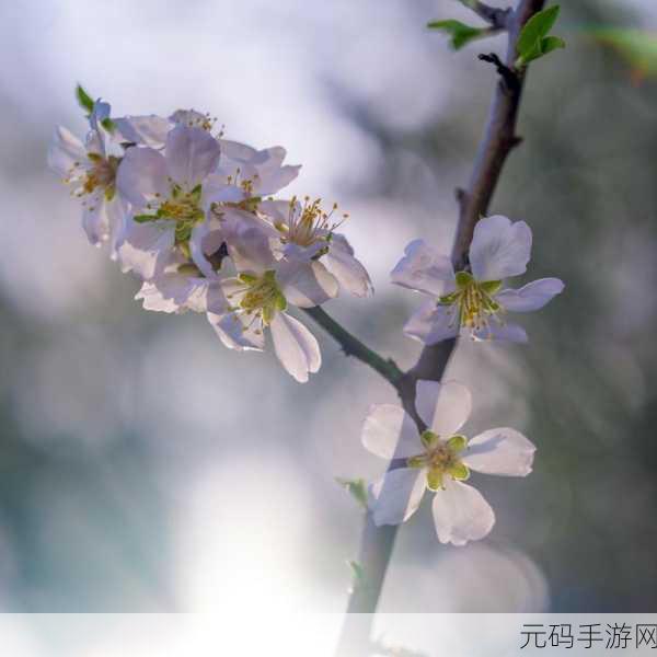 春天里最动人的风景：1. 春日暖阳下的绚丽花海与生机盎然