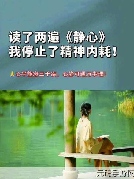 把佛珠一个一个挤出去免费阅读:1. 从佛珠中寻找内心的平静与智慧