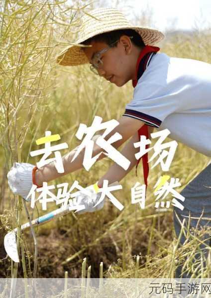 农场Zoom与人性Zoom:1. "农场Zoom:连接自然与人性的数字桥梁