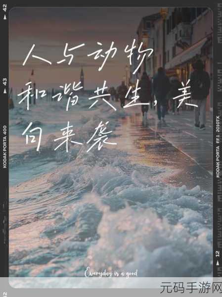 人与动物ppt免费模板：1. 人与动物的和谐共生关系探讨
