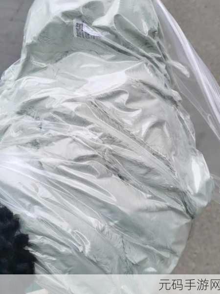 真空下楼取快递被C嗯啊：1. 真空快递之旅：从楼下到你的手中