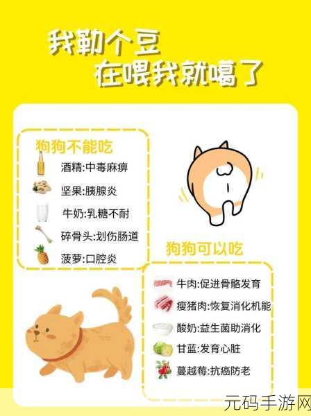 人狗胶配方大全狗狗一天吃多少:1. 科学喂养:狗狗每日食量与人犬胶配方解析