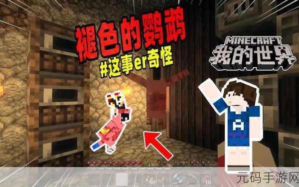 我的世界鹦鹉驯服繁殖全攻略，打造你的鹦鹉乐园