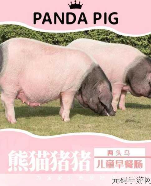 999猪和人类dna：1. 透视999猪与人类DNA的神秘联系