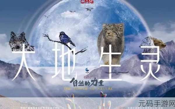 大地资源电影中文在线观看：1. 《探秘大地资源：自然与人类的和谐共生