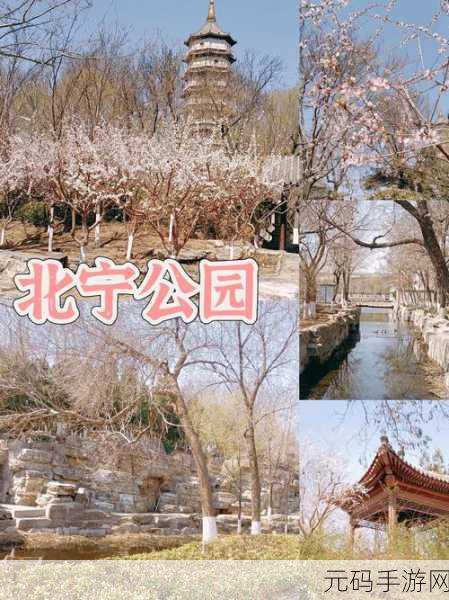 晚上我真空去公园散步的注意事项：晚上在公园散步的安全与乐趣指南