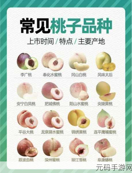 日本水蜜桃身体:1. 日本水蜜桃的独特风味与健康益处探秘
