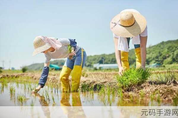 外国情侣插秧方法：1. 外国情侣的插秧艺术：浪漫与自然的完美结合