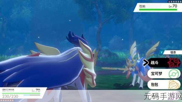 宝可梦大探险Switch版，探险之旅与电量管理的奇妙碰撞