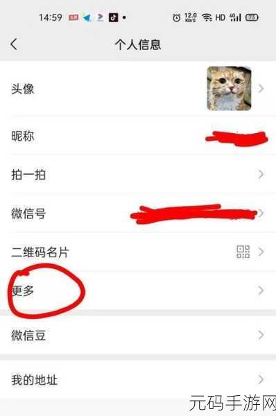 王者荣耀改性别全攻略,步骤、细节与要点