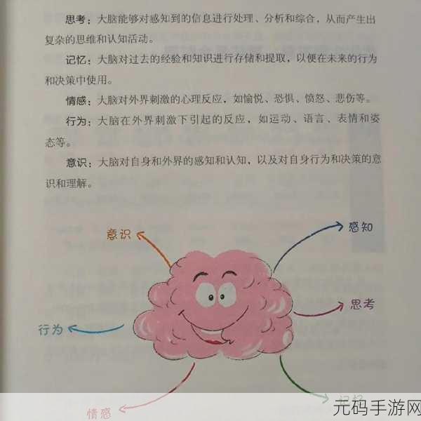 最好看免费中文:1. 免费中文资源,让你的学习更加轻松有趣