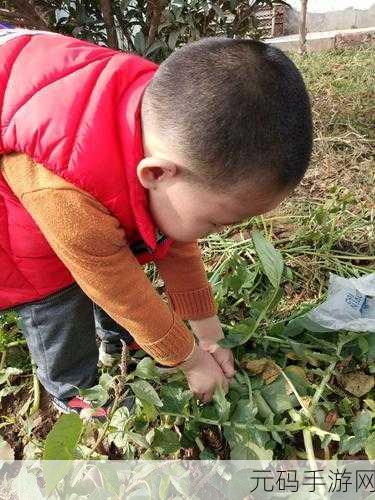 鸣人去小樱家拔萝卜是哪一集?:鸣人去小樱家拔萝卜的情节出现在《火影忍者》第1部第5集,标题为“第一次任务”。