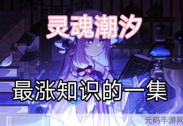 灵魂潮汐,揭秘家园产出资源的奇妙用途与无限可能