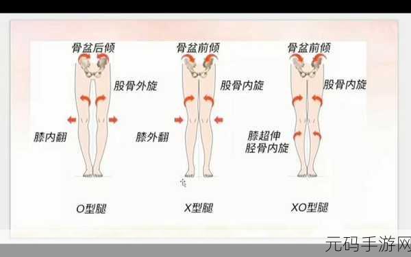 腿分太开会不紧吗：1. 腿部姿势与身体紧致度的关系探讨