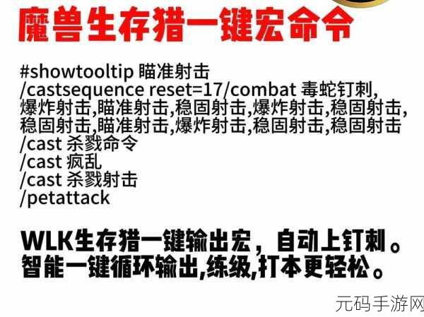 巫妖王猎人宠物攻击宏:1. 巫妖王时代猎人宠物攻击宏的终极解析