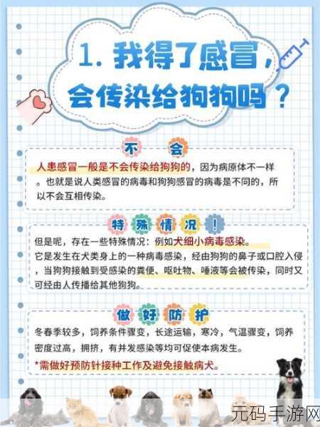 狗狗和人胶配方大全高清：1. 狗狗与人胶配方的全面指南：从基础到进阶