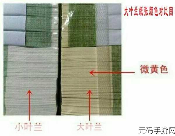991精产三产区区别要下架了：1. 深入解析991精产三产区下架新规