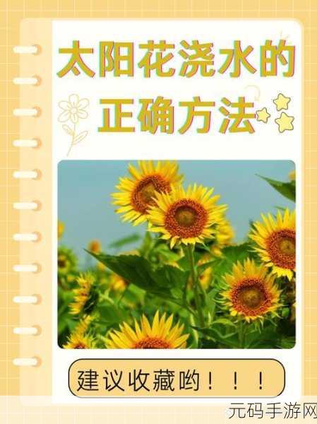 向日葵草莓榴莲app:当然可以,以下是一些基于“向日葵草莓榴莲app”的新标题建议: