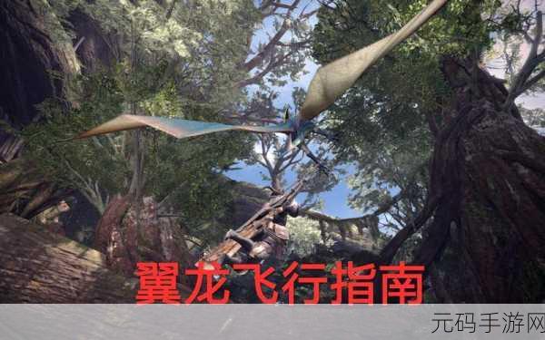 怪物猎人2G探险指南,揭秘红迅龙头的获取之道