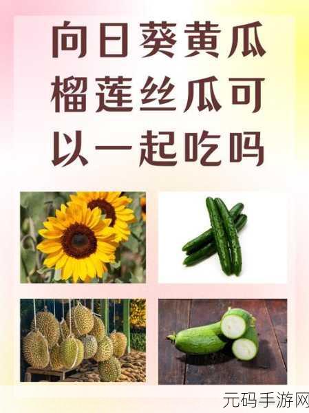 旧版草莓丝瓜向日葵黄瓜榴莲汅下载：1. 草莓丝瓜的甜蜜与清新：探索独特搭配