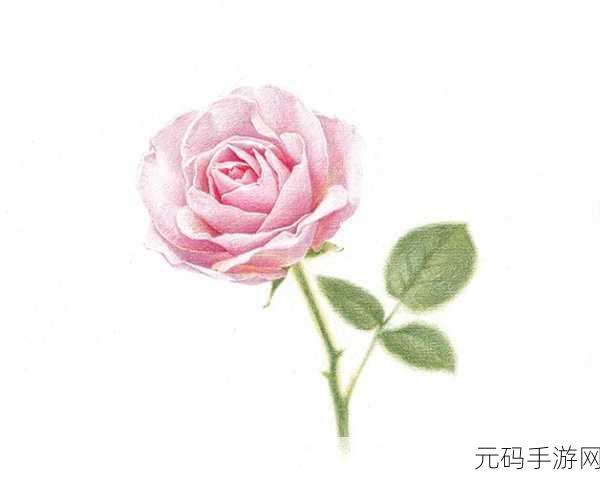 独占1.v1小花：当然可以！以下是基于“独占1.v1小花”主题拓展出的新标题，字数均不少于10个字：