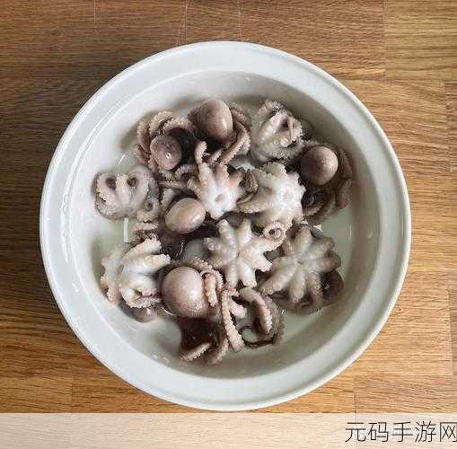 八爪鱼紧缩术：1. 深入探讨八爪鱼紧缩术的应用与效果