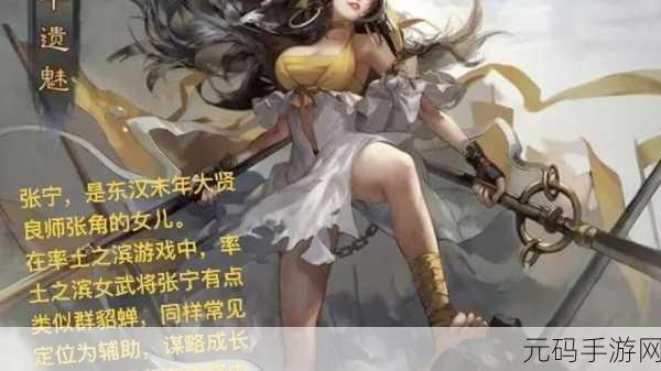 率土之滨张宁闪耀战场，最强阵容揭晓！