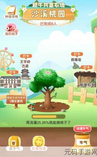 麻豆精产国品一二三产区区别免费:如何区分麻豆精产国品的一二三产区特征与优势