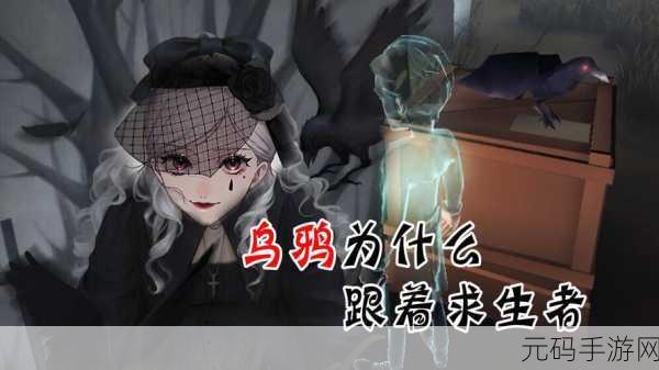 第五人格,乌鸦的奥秘与应对策略
