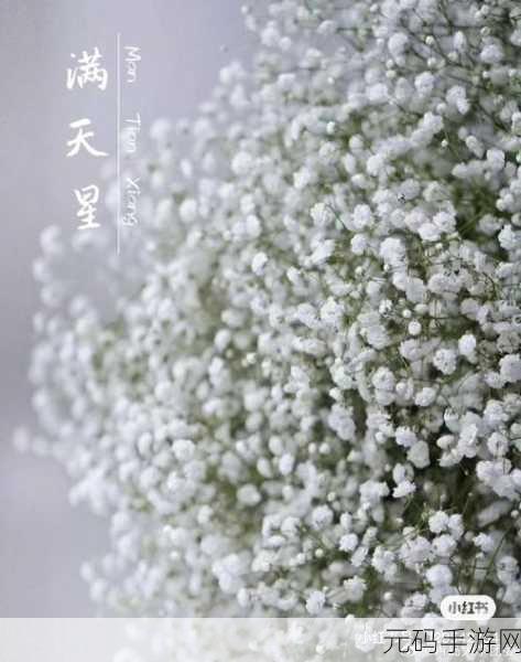 满天星A级意大利:1. 满天星A级意大利:探索地中海的风情与美食