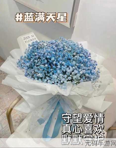 满天星A级意大利:1. 满天星A级意大利:探索地中海的风情与美食