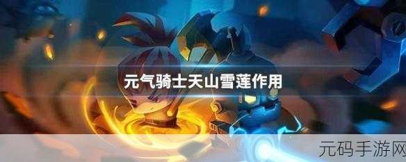 元气骑士，雪莲的神秘力量与超强功效全知道