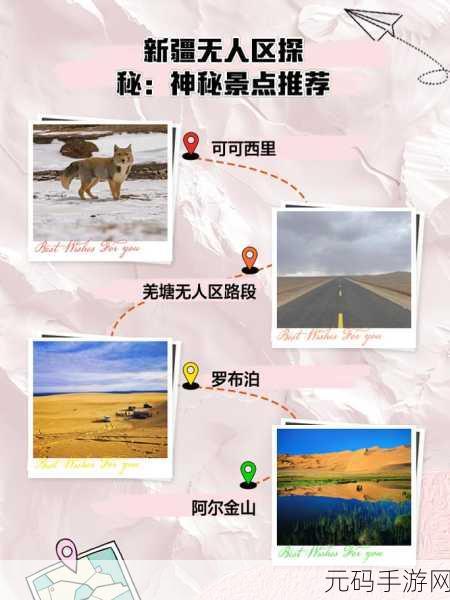 无人区一码二码三码四码:1. 无人区探险:一码到四码的神秘旅程
