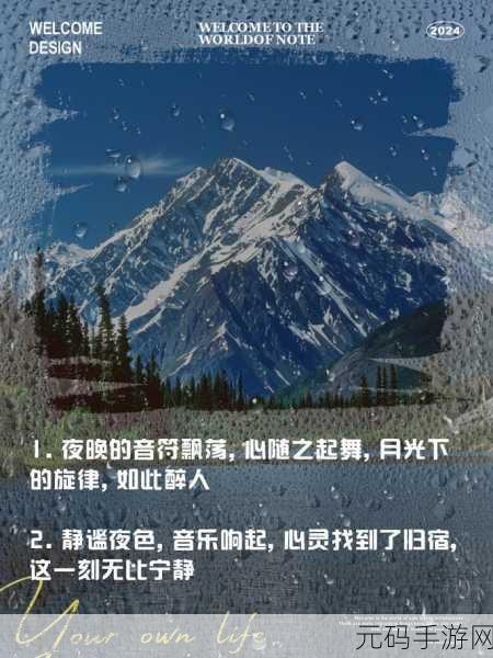 最适合夜里看的直播:1. 夜幕降临,精彩直播陪你度过静谧时光