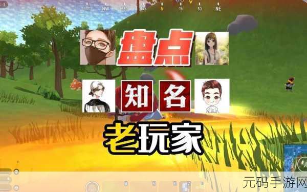 香肠派对实名认证修改全攻略,玩家需求与官方应对