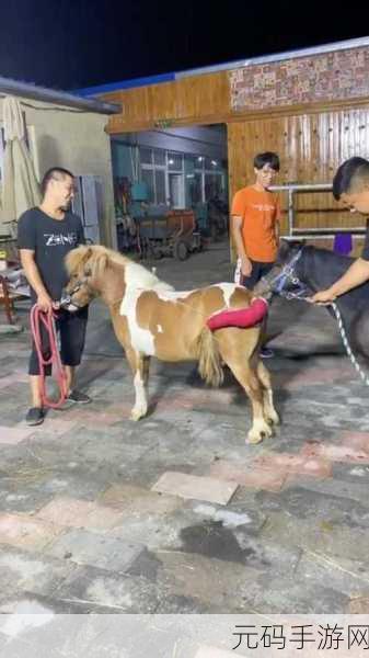 狗配人会锁住多长时间能分开：1. 狗配人锁定关系的持续时间分析