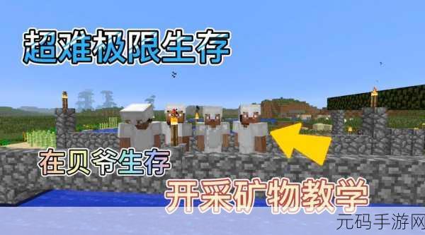 我的世界探索之旅，揭秘骨头的多样用途