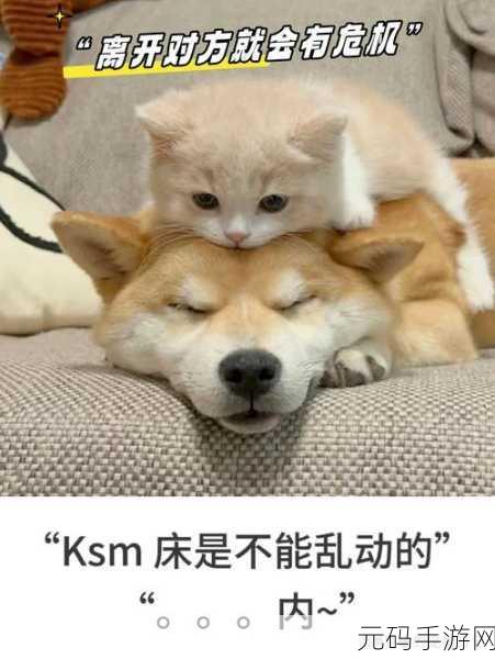 一面亲上边一面膜下边的日志:1. 亲密无间:探索人与人之间的深厚情感