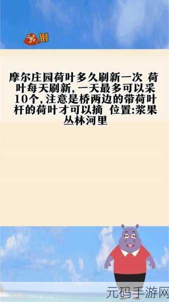 摩尔庄园手游荷叶刷新与采摘数量全解析
