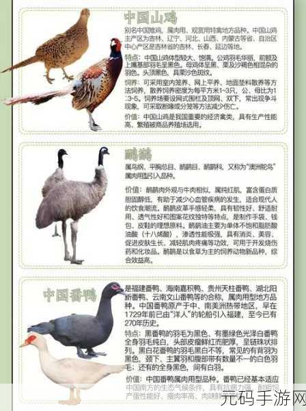 人与畜禽交互mouse开辟了新的可能性:人与畜禽交互新模式:鼠标技术的创新应用