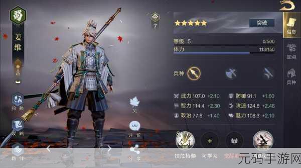 鸿图之下,姜维闪耀战场,兼智勇阵容搭配全揭秘