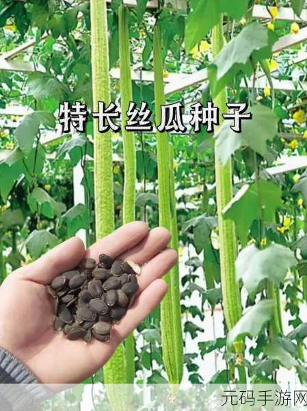 苏州晶体公司短app丝瓜aaa内容被曝光:1. 苏州晶体公司短app丝瓜aaa内容引发热议
