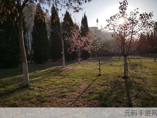 朝阳初升校园1/1h是何景象:1. 朝阳映照下的校园晨曦美景