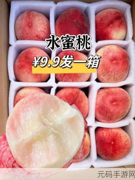 GTCARD2水蜜桃：1. GTCARD2水蜜桃：探索独特的果香与健康理念