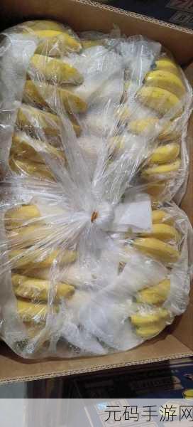 久久香蕉国产精品:1. 香蕉文化:探索久久香蕉的独特魅力